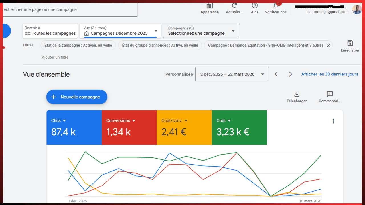Vue d'ensemble Google Ads : 87,4 k clics, 1 340 conversions à 2,41 € pièce