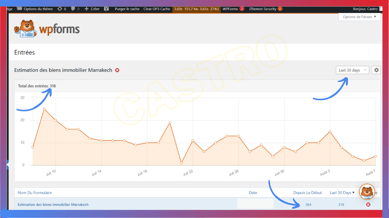 Entrées WPForms : 318 leads sur les 30 derniers jours après optimisation